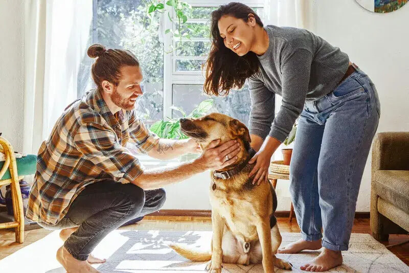 Best Pet Insurance in Canada for 2026